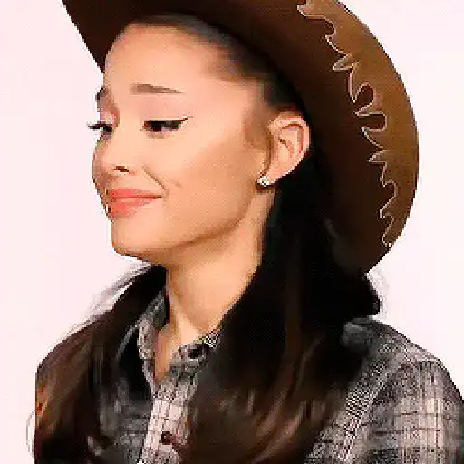 Ariana grande stickers 6