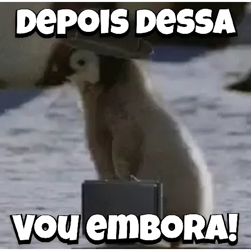 Zoeiras Animais 23