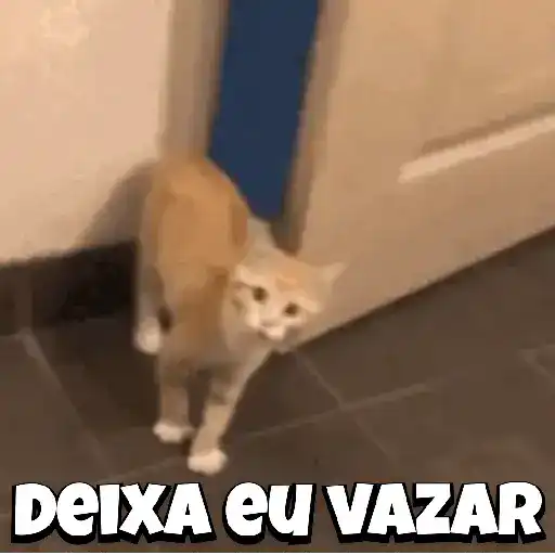 Zoeiras Animais 28