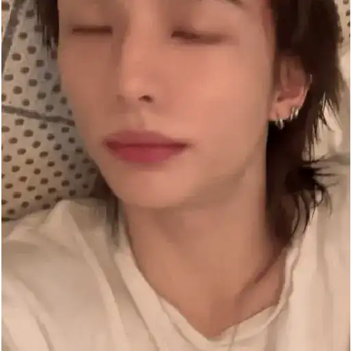 醙〘🤴🏻〙Hyunjin 16