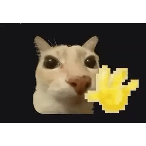 GIF viral tiktok  9
