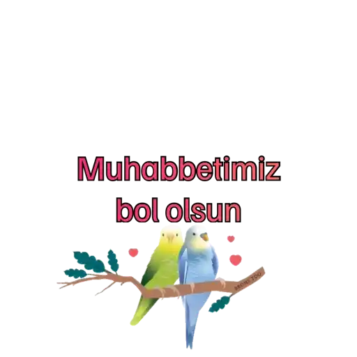 Allah'a emanet  1