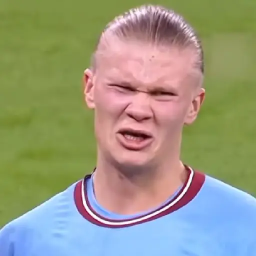 Erling Haaland ⚽🥅 17