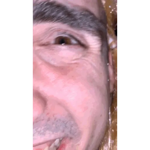 Repollo 2