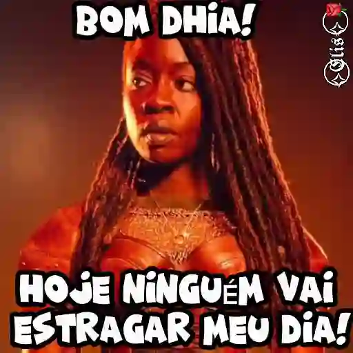Zueira sadia 15