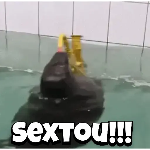 Zoeiras Animais 3