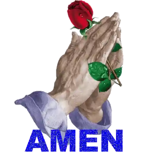 AMÉN 3