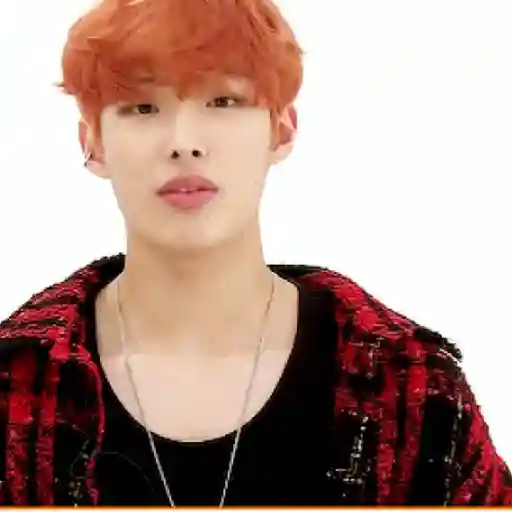 Mingi 8