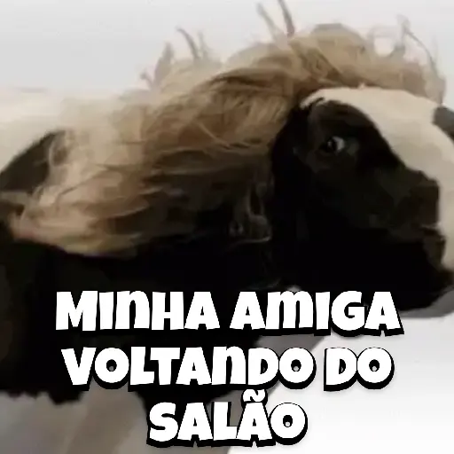 Zoeiras Animais 10