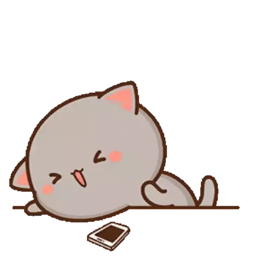 Mochi Peach cat 14 10