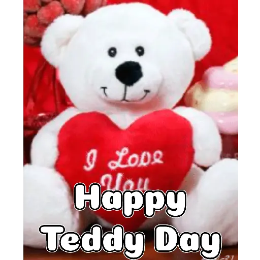 Teddy Bear Day 4
