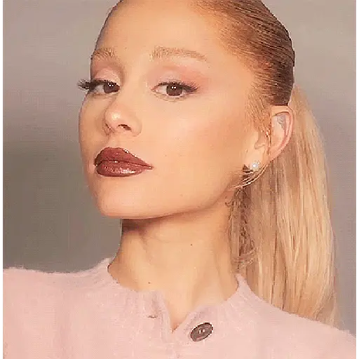 Ariana grande stickers 13