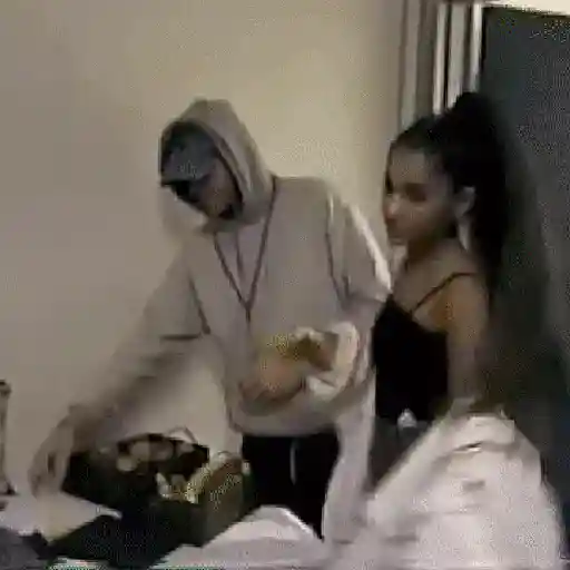 Ariana grande stickers 10