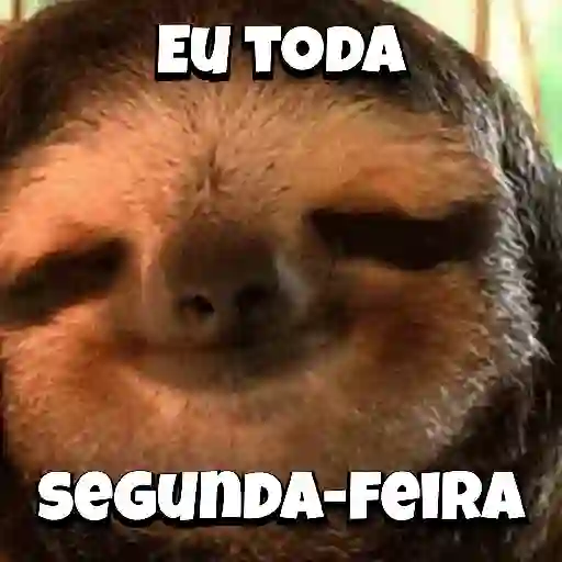 Zoeiras Animais 19