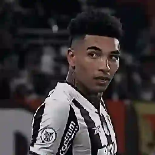 Botafogo RJ ⚫⚪ 15