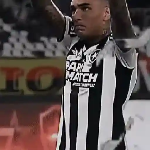 Botafogo RJ ⚫⚪ 20