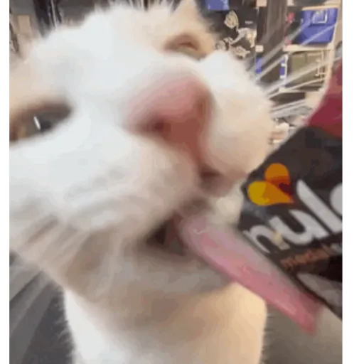 Lol 2