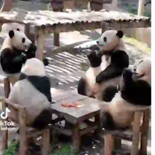 Panda 3