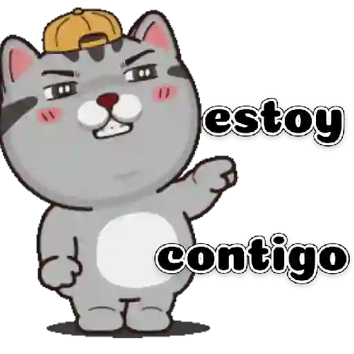 Gatito 10