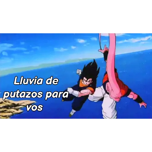 Pokemon 14