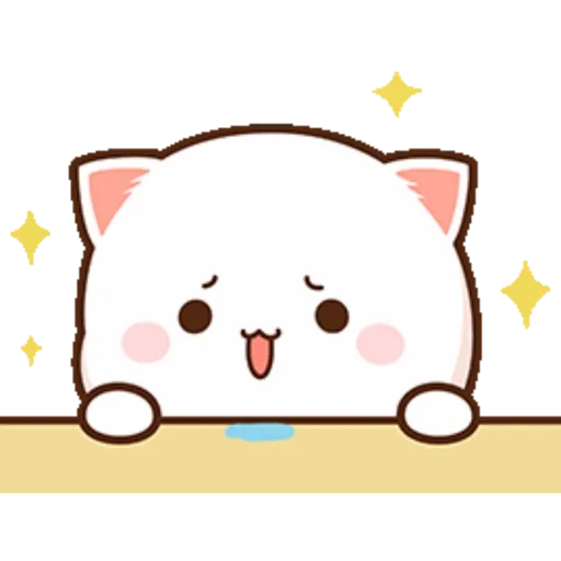 Mochi Peach cat 14 12