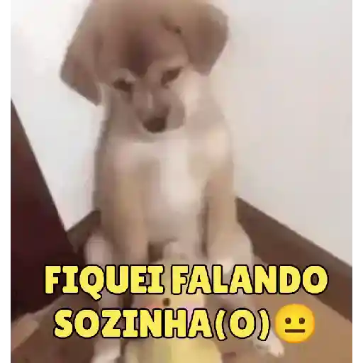 Vácuo 4