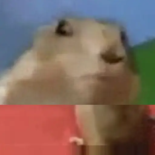 Debochess 1