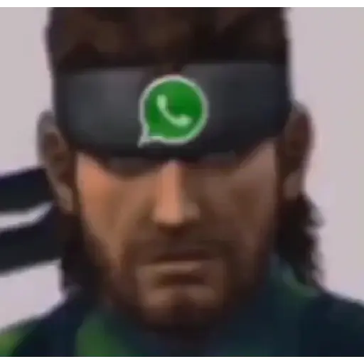 Mgs 2