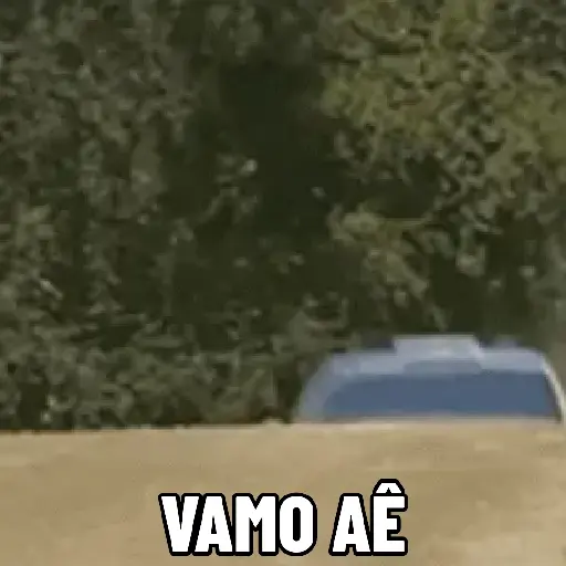 As melhores da semana 3
