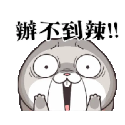 Rabbit 23