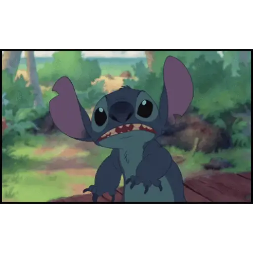 Stitch  17