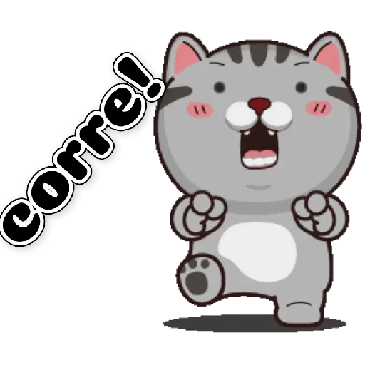 Gatito 16