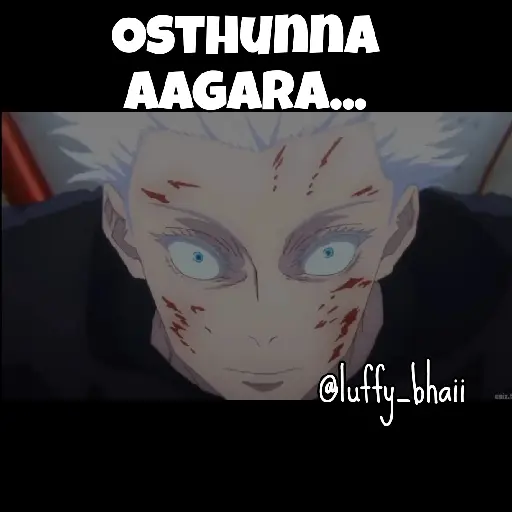 Luffy bhaii 5