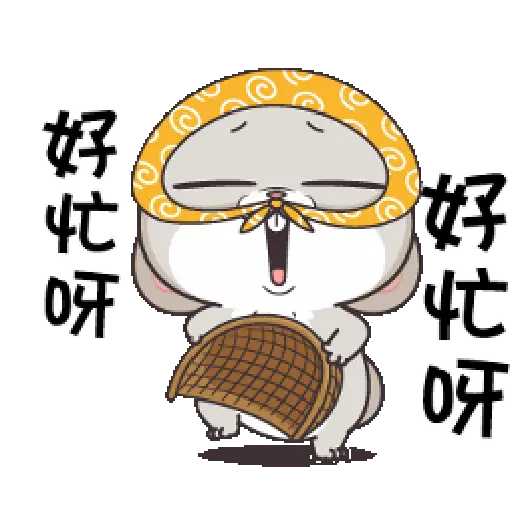 Rabbit 6