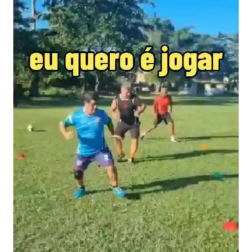 Vídeo 11