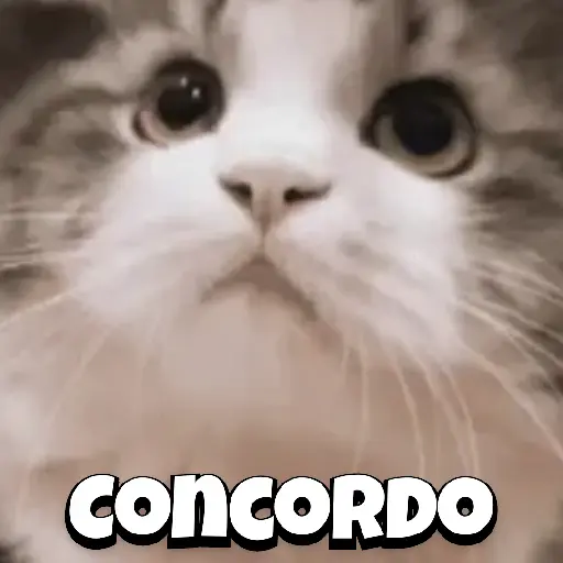 Zoeiras Animais 8