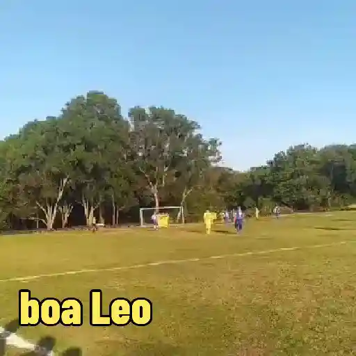 Vídeo 15
