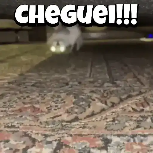 Zoeiras Animais 6