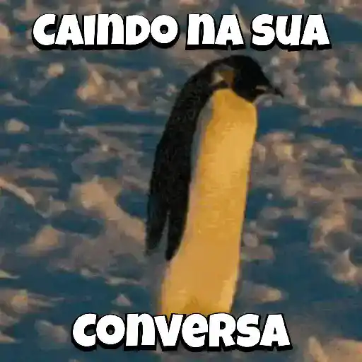 Zoeiras Animais 13