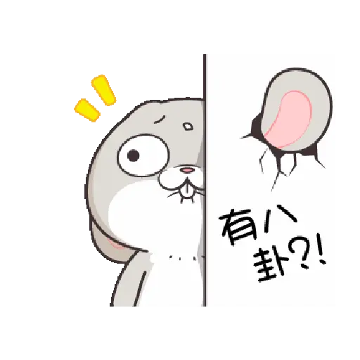 Rabbit 7