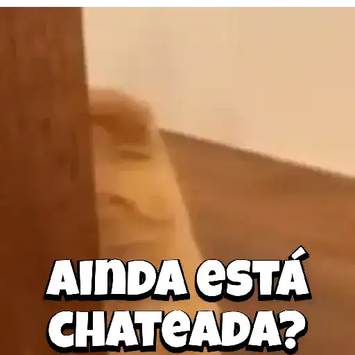 Zoeiras Animais 7