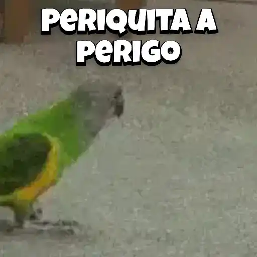 Zoeiras Animais 11