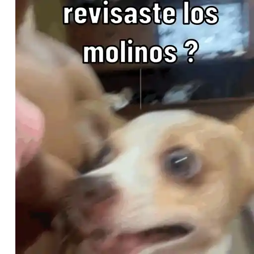 Mis mis 2 16