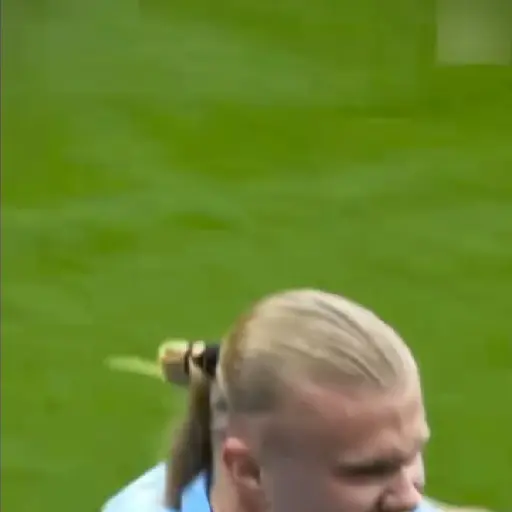 Erling Haaland ⚽🥅 14