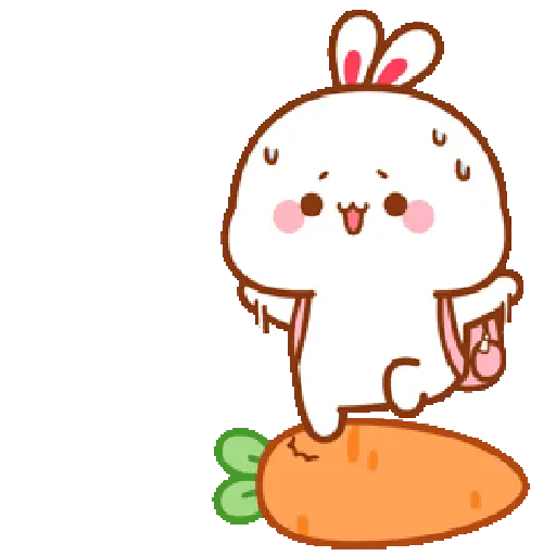 The little bunny 5 27