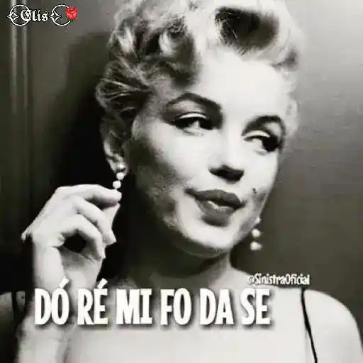 Zueira sadia 23