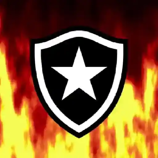 Botafogo RJ ⚫⚪ 13