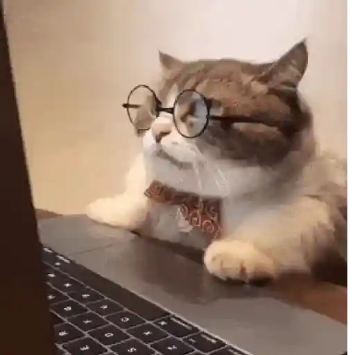 Gatitos #1 8