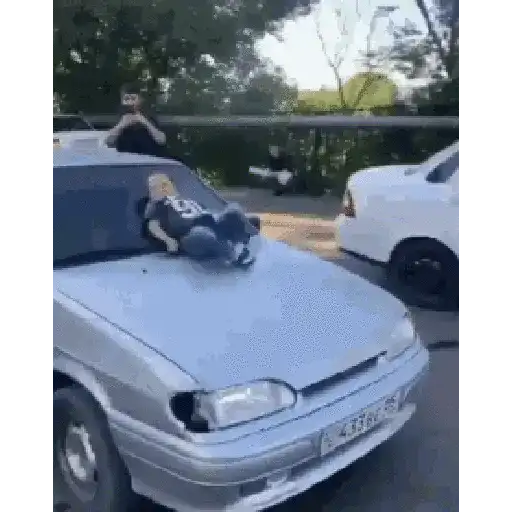 Hasbulla gif 23
