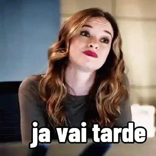 FLASH BRASIL 14
